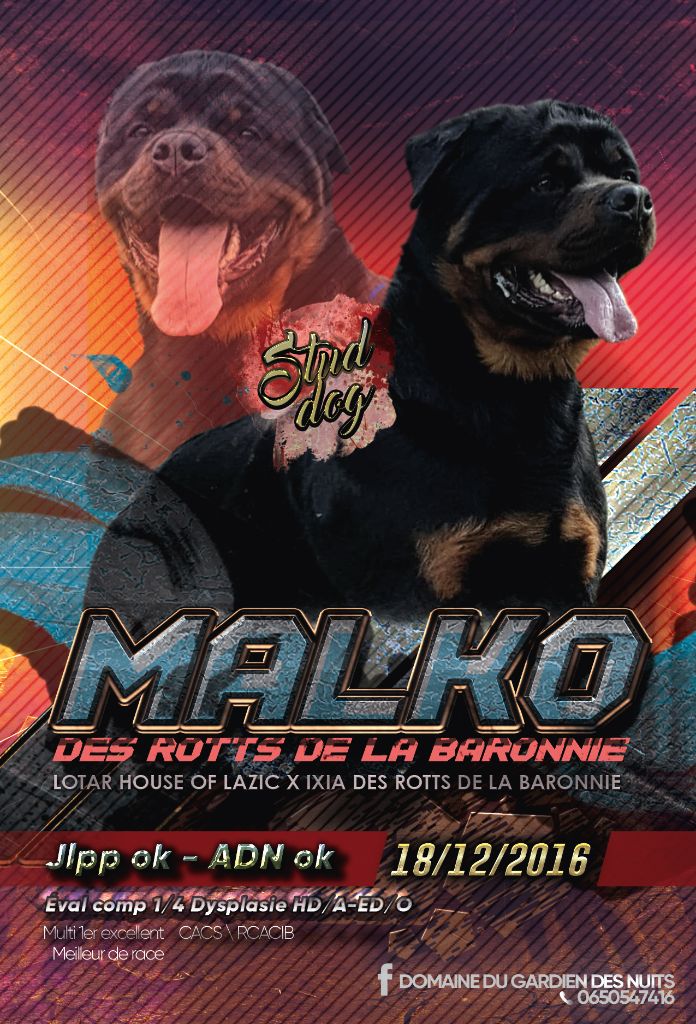 Malko des Rotts de la Baronnie